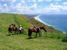 New Zealand-North Island-Trans New Zealand Ride - Coast to Coast